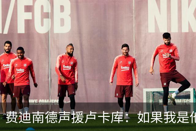 费迪南德声援卢卡库：如果我是他 我可能会疯